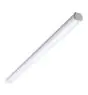Philips LED Feuchtraumleuchte Ledinaire WT060C 46W 5600lm - 865 Tageslichtweiß | 150cm